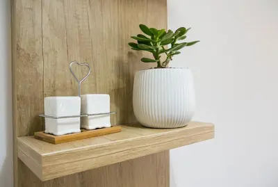 a plant and a white vase on a wooden shelf at Mina Studio Apartment Budva in Budva