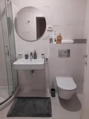 a bathroom with a sink and a toilet and a mirror at Apartment Diamond in Podgorica