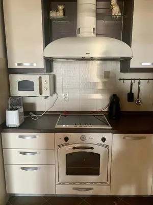 a kitchen with a stove and a microwave at Apartment Ruzmarin Petrovac in Petrovac na Moru