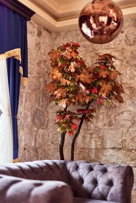 a plant in a room next to a stone wall at Apartment Lav in the City Centre in Kotor