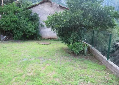 a yard with a fence and a tree at Apartman Savo in Kotor