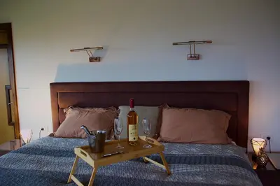 a bed with a table with a bottle of wine on it at Apartman Livada Bar in Bar