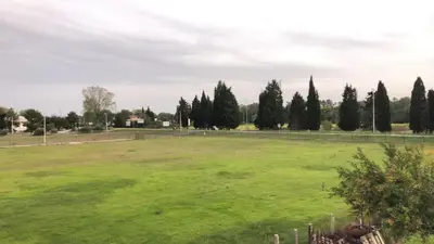 a large green field with trees in the background at Margaritaville in Ulcinj