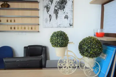 two potted plants sitting on top of a desk at MS Hotel in Dobra Voda