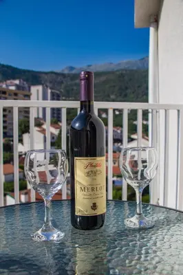 a bottle of wine and two wine glasses on a table at Studio Apartment Urke in Budva