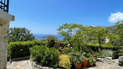 a garden with plants and trees and the ocean at Mountains Villa near Budva in Budva