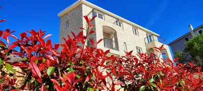 a red bush in front of a building at Almond Apartments in Sveti Stefan