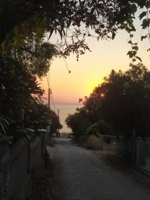 a dirt road leading to the ocean at sunset at MonoLiza in Utjeha