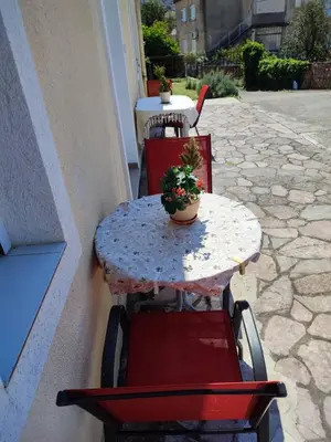a table and chairs with a potted plant on it at Apartments Željka-Dobrota in Kotor
