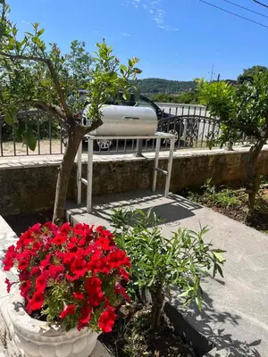 a planter with red flowers in front of a train at Imperator Apartments in Ulcinj