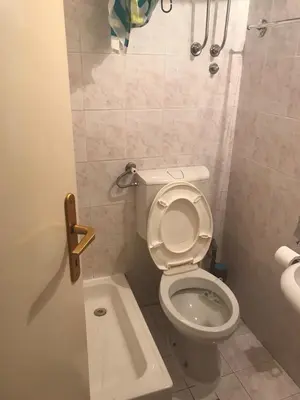 a small bathroom with a toilet and a shower at Apartman Vuk in Budva