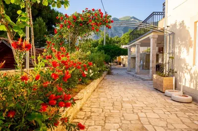 a garden with red flowers and a street at VILA TARA in Sutomore