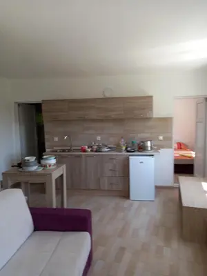 a kitchen with a couch and a table in a room at MD APARTMANI CANJ in Čanj