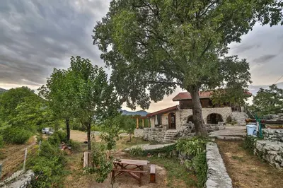 a house with a tree and a bench in front of it at Royal Villa Ana in Cetinje