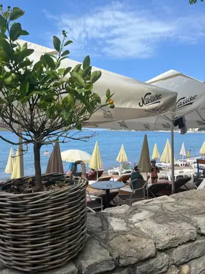 a tree in a pot on a wall next to the ocean at Adriatic apartman in Becici