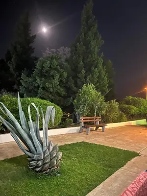 a sculpture of a pineapple in a park at night at Adriatic apartman in Becici