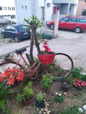 a bike with a basket next to a tree at Apartment 2 in Bar, Susanj