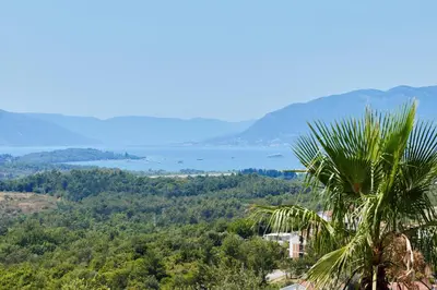 a palm tree and a view of a lake at Przice Gardens Apartment with Pool in Kotor