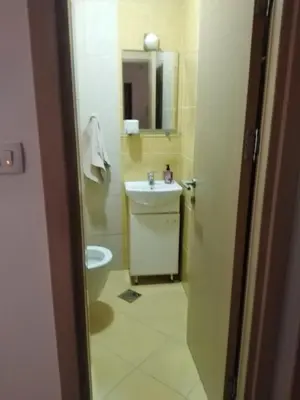 a small bathroom with a sink and a toilet at Stan Budva Apartman in Budva