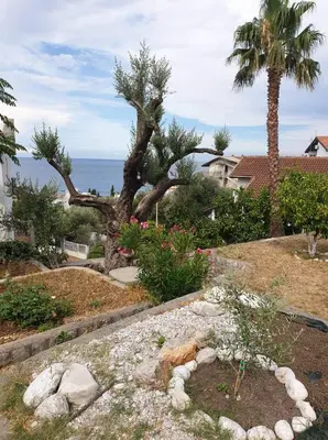 a garden with a tree and rocks and the ocean at Apartman Veliki Pijesak in Dobra Voda