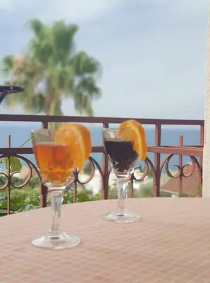 two glasses of wine and orange slices on a table at Apartman Veliki Pijesak in Dobra Voda