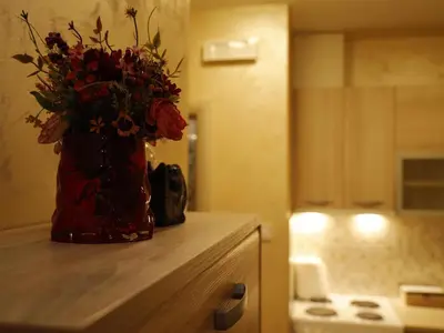 a vase of flowers sitting on a counter in a kitchen at Apartment Mona in Podgorica