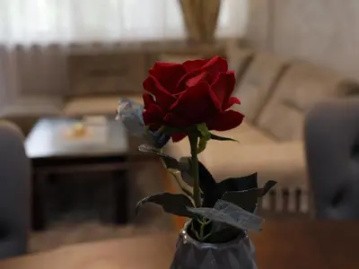 a red rose in a vase on a table at Apartment Mona in Podgorica