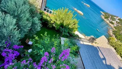 a garden with purple flowers next to the water at Le petit bonheur in Ulcinj