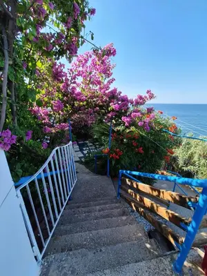 a stairway with pink flowers and a white fence at Sunset in Ulcinj
