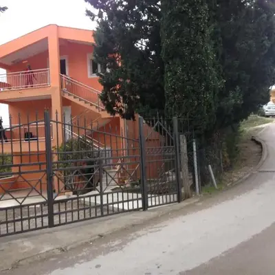Ruza vetrova