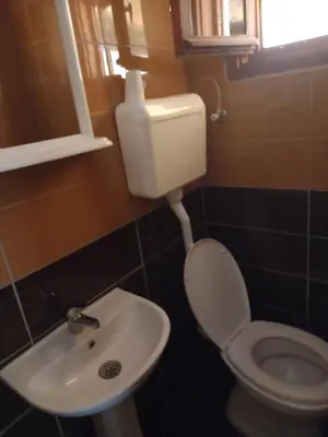 a bathroom with a toilet and a sink at Vikendica in Čanj