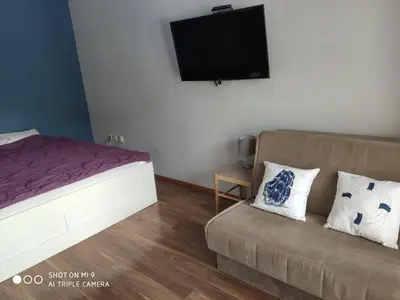 a bedroom with a couch and a flat screen tv at Apartment Anika in Becici