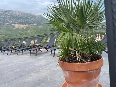 a plant in a pot on a balcony with chairs at Villa Roki in Ravanj