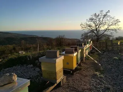 a row of beehives sitting next to a fence at Etno house Velje Selo in Bar