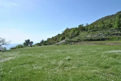 a field of green grass with a hill in the background at Etno house Velje Selo in Bar