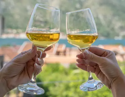 two people holding up glasses of white wine at Sunshine in Kotor