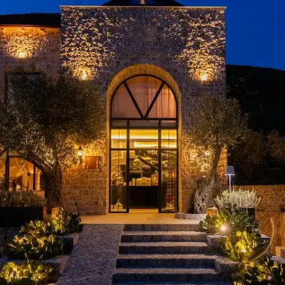 MASHTRA - The Olive House