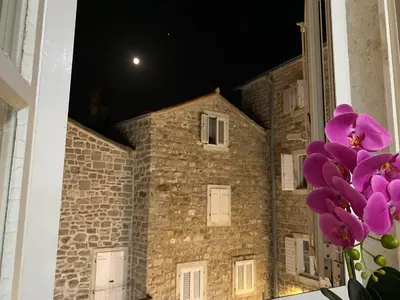 a bunch of purple flowers in front of a building at VivaV in Budva