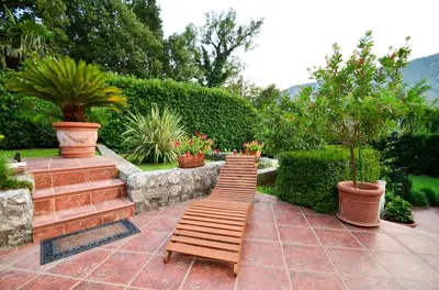 a row of wooden steps in a garden with potted plants at Djardin in Kotor