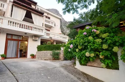 a building with a bush of flowers on the side of it at Djardin in Kotor