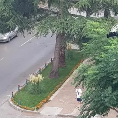 Apartman na najboljoj lokaciji