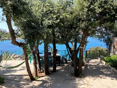 a row of trees in front of the water at Family Seaside Holm Oak Villa with Private Rocky Beach in Bar