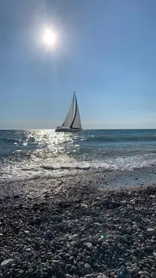 a sail boat on the water with a beach at Apartman Ana Zeleni pojas in Bar