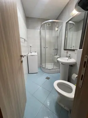 a bathroom with a shower and a toilet and a sink at Apartman Sofija Budva in Budva