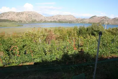 a fence with a view of a lake and mountains at SKADAr LAKE SARA 3 DM in Cetinje