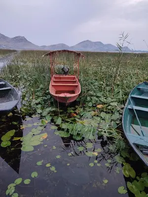 a red boat in a field of water with lilies at SKADAr LAKE SARA 3 DM in Cetinje