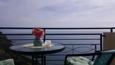 a table with a vase of flowers on a balcony at Lighthouse Apartments in Budva