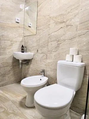a bathroom with a white toilet and a sink at Rosa Negra in Ulcinj