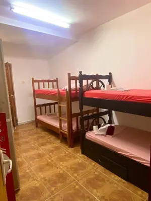 a room with several bunk beds in a room at Sunny Villa Apartments in Budva