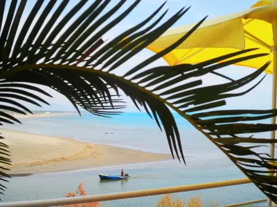 a boat on the beach with a palm tree at Apartments Kepi Gjerana in Ulcinj